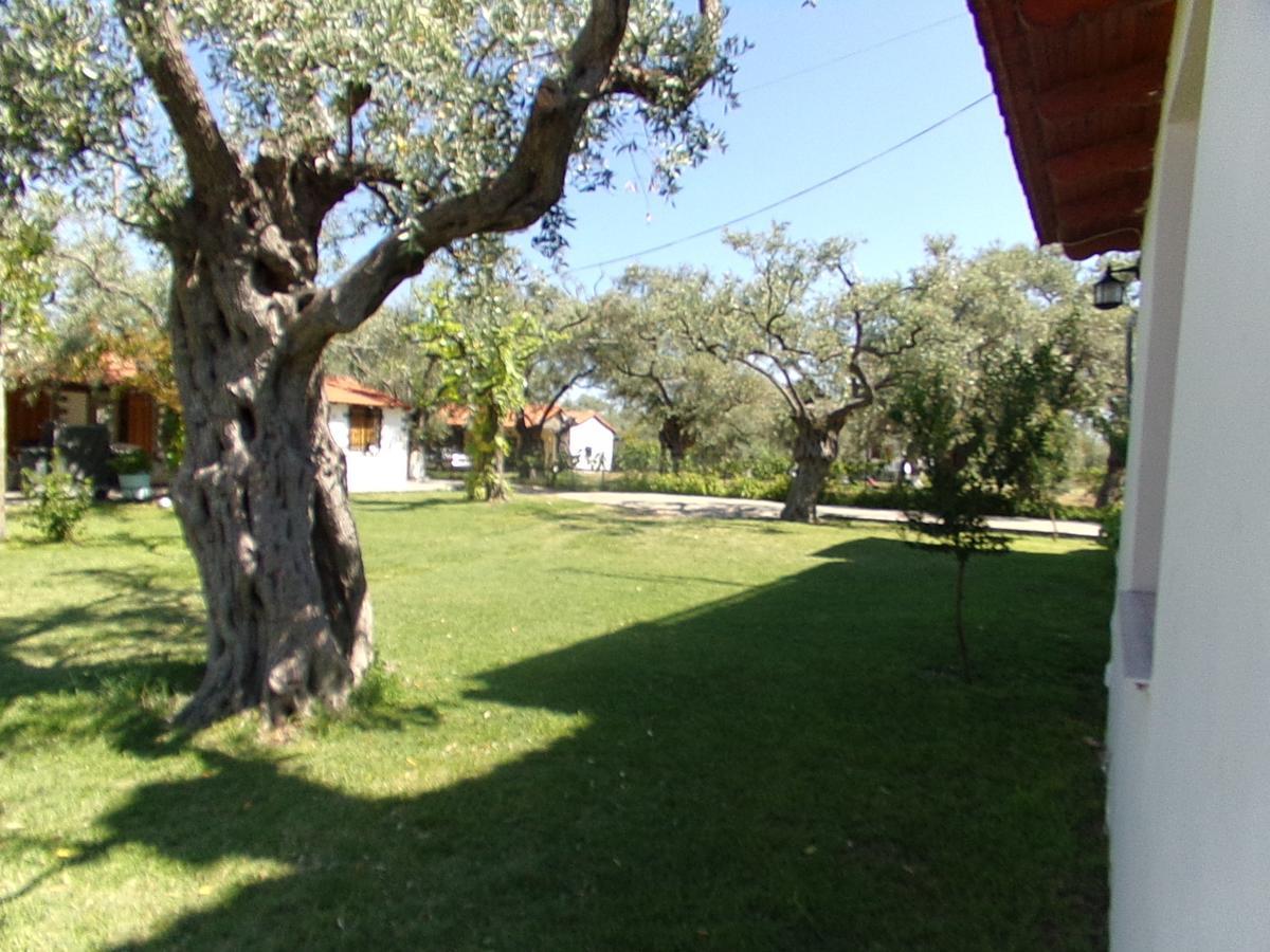 Villa Karapataki Skala Rachoni  Rom bilde